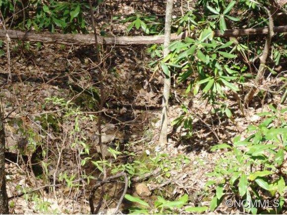 Property image 5 at 27 Rhododendron Road, Black Mountain, NC 28711