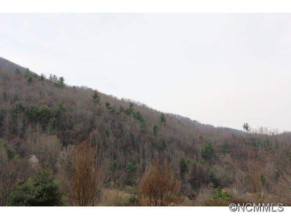 Property image 4 at 155 Broken Wheel Drive, Clyde, NC 28721