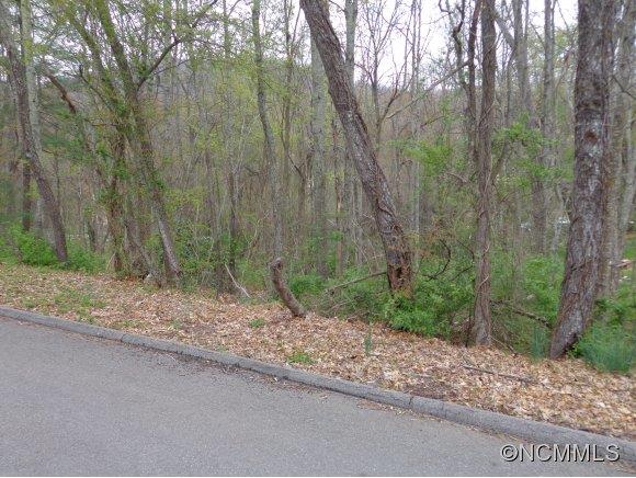 Property image 2 at 000 Ray Street, Waynesville, NC 28786