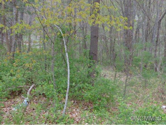 Property image 3 at 000 Ray Street, Waynesville, NC 28786