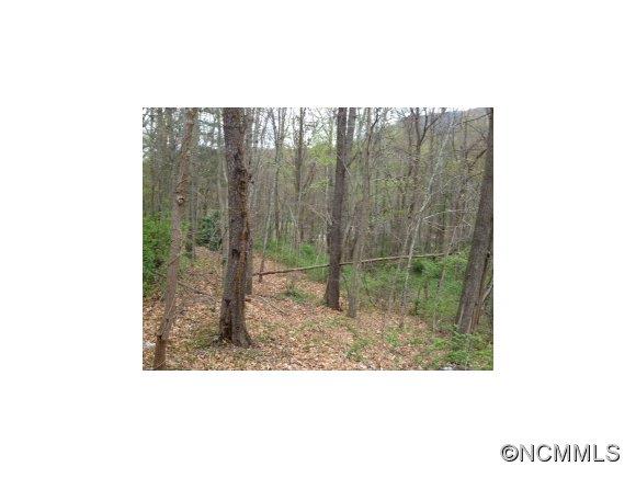 Property image 4 at 000 Ray Street, Waynesville, NC 28786
