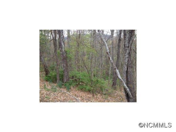 Property image 5 at 000 Ray Street, Waynesville, NC 28786