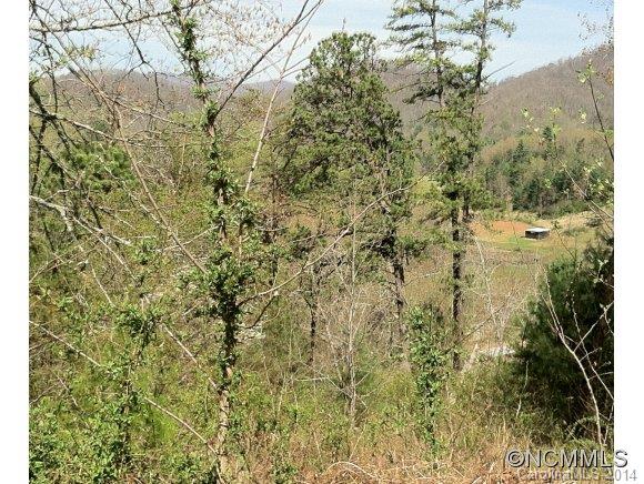 Property image 4 at 57 Farmstead, Leicester, NC 28748
