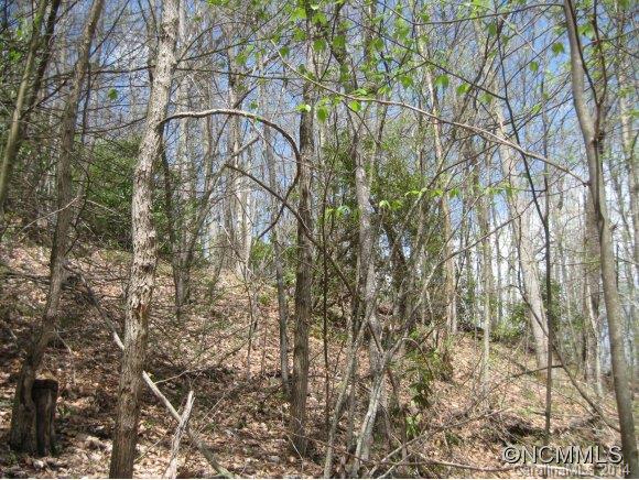 Property image 2 at 35 Teaberry Ridge Road, Waynesville, NC 28785