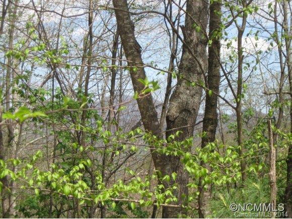 Property image 4 at 35 Teaberry Ridge Road, Waynesville, NC 28785