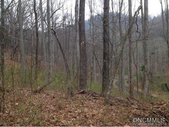 Property image 3 at 75 Bamboo Trl, Candler, NC 28715