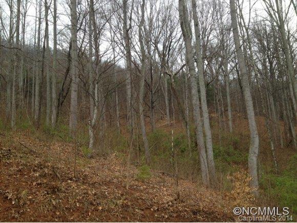 Property image 4 at 75 Bamboo Trl, Candler, NC 28715