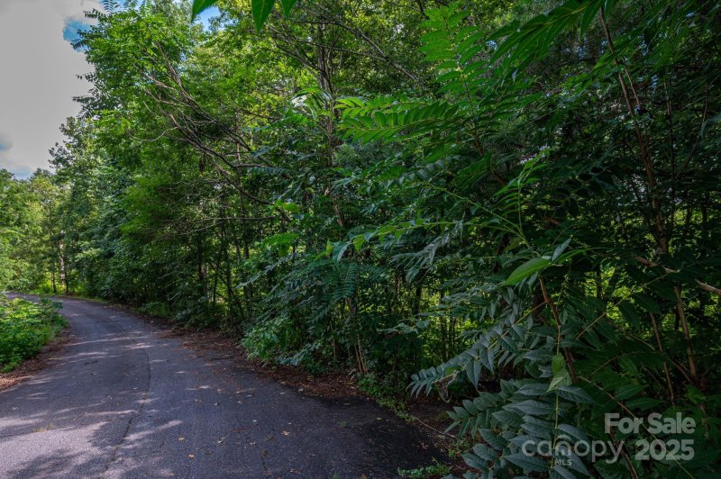 Property image 3 of Lot 34 Line Drive in White Oak, Forest City, NC 28043