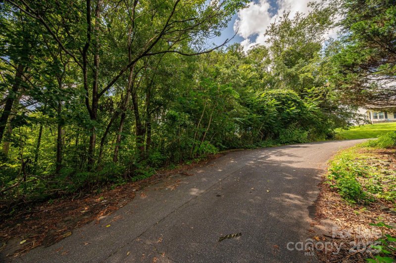Property image 2 of Lot 19 Line Drive in White Oak, Forest City, NC 28043