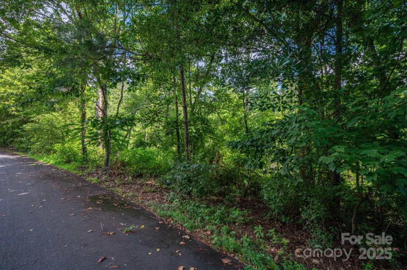 Property image 5 of Lot 32 Line Drive in White Oak, Forest City, NC 28043