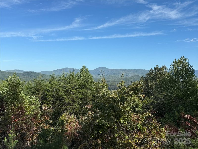 Property image 3 of 0 Woodgate Drive in South Mountain Peaks, Bostic, NC 28018