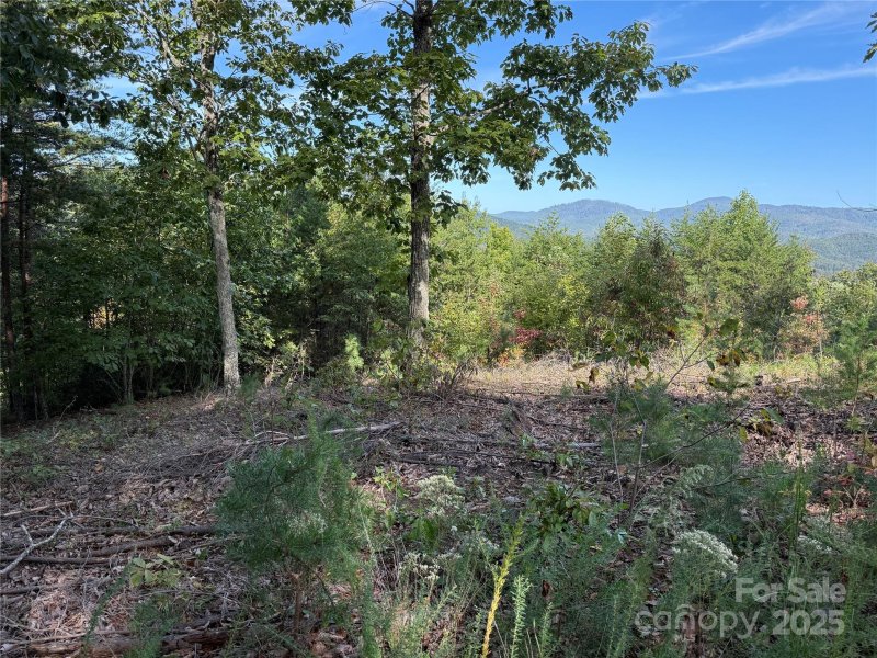 Property image 5 of 0 Woodgate Drive in South Mountain Peaks, Bostic, NC 28018