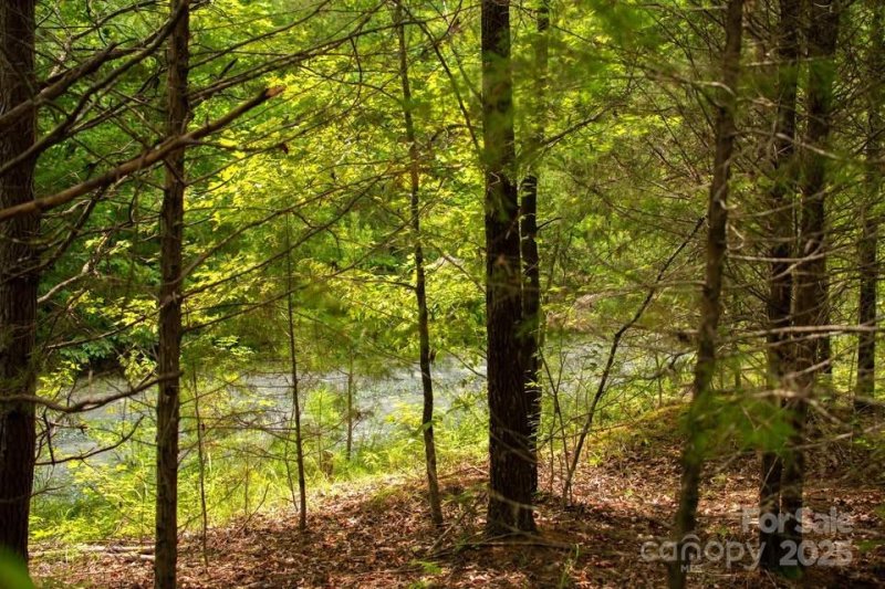 Property image 2 of 145 Stroud Mountain Trail in River Ridge of Cleghorn South, Rutherfordton, NC 28139
