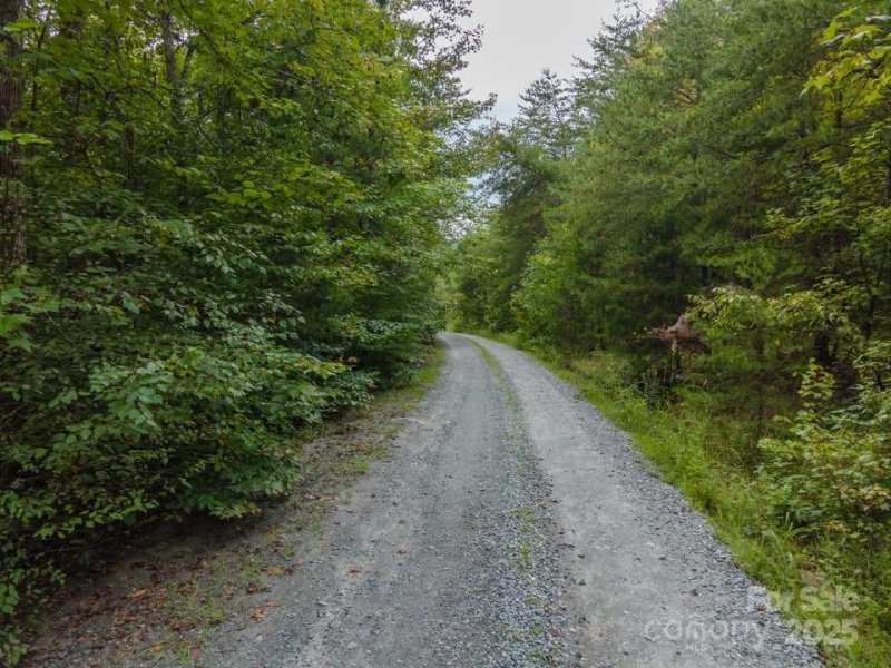 Property image 3 of 145 Stroud Mountain Trail in River Ridge of Cleghorn South, Rutherfordton, NC 28139