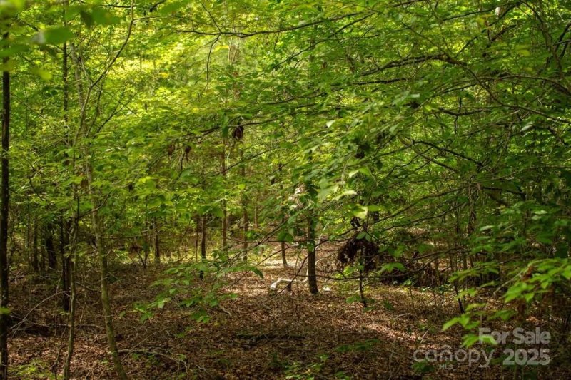 Property image 4 of 145 Stroud Mountain Trail in River Ridge of Cleghorn South, Rutherfordton, NC 28139