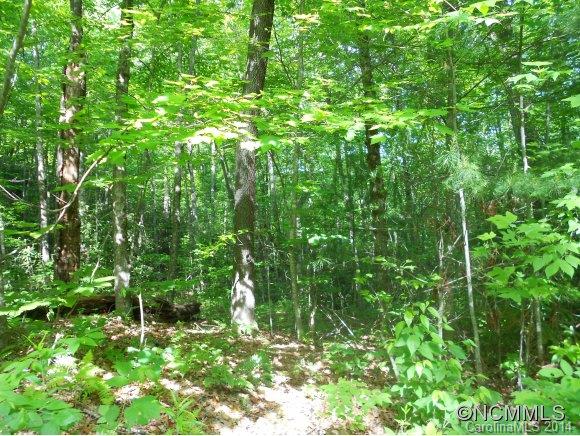 Property image 2 at Lot P 39 Windwood Hill Rd, Hendersonville, NC 28739