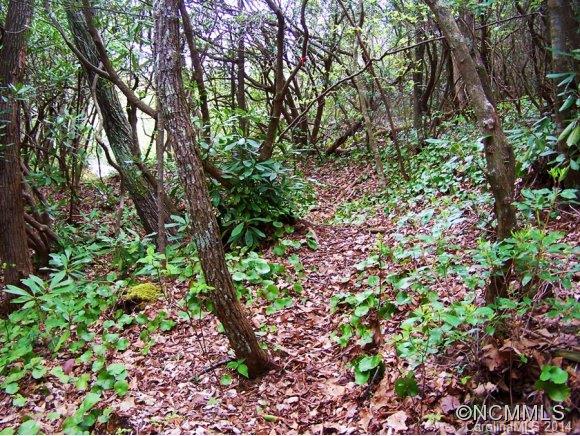 Property image 5 at Lt 28 30 Stone Chimney Dr, Sapphire, NC 28774