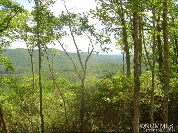 Property image 2 at 888 Mills River Way, Mills River, NC 28742