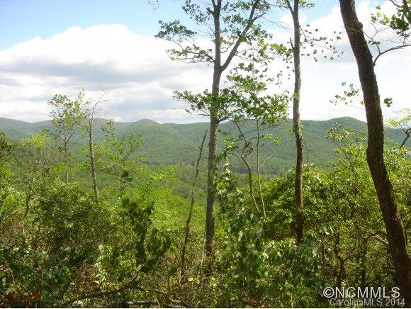 Property image 3 at 888 Mills River Way, Mills River, NC 28742