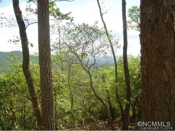 Property image 4 at 888 Mills River Way, Mills River, NC 28742