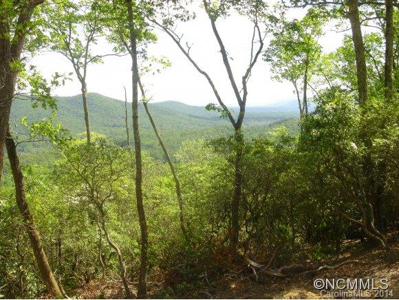 Property image 5 at 888 Mills River Way, Mills River, NC 28742