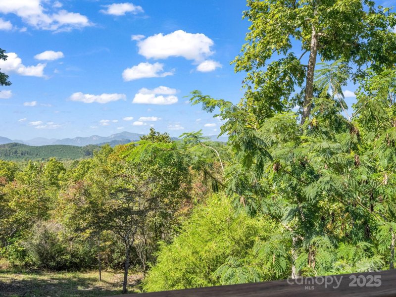 Property image 4 of 242 Old Owl Lane in Hidden Hills, Rutherfordton, NC 28139