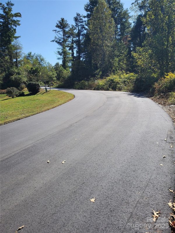 Property image 2 of 62 Oscelake Way in Leonis Mountain Lake Homes, Hendersonville, NC 28739