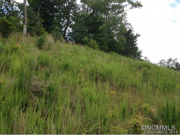 Property image 2 at Lot 157 Homestead At Mills River, Mills River, NC 28759