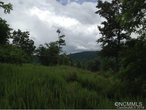 Property image 3 at Lot 157 Homestead At Mills River, Mills River, NC 28759