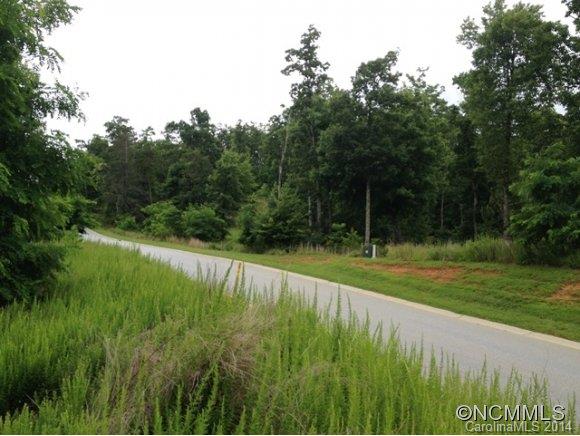 Property image 4 at Lot 157 Homestead At Mills River, Mills River, NC 28759
