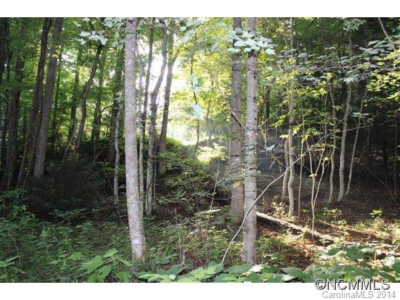 Lot 48 Off Boys Camp Road