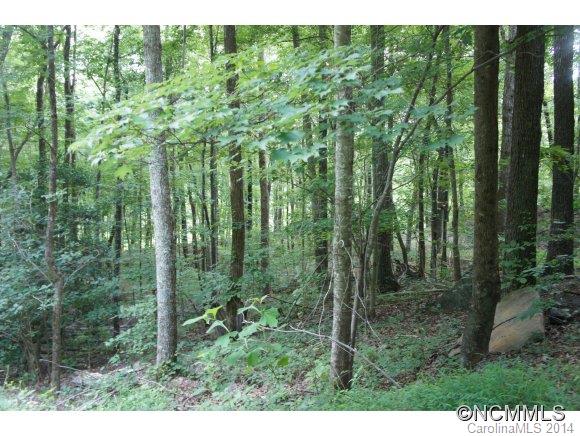 Property image 3 at 0 Lower Switchback None, Union Mills, NC 28167