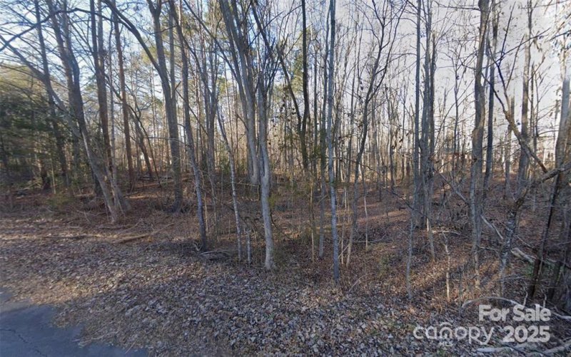 Property image 3 of 2060 Berrywood Lane in Woodland Hills, Clover, SC 29710