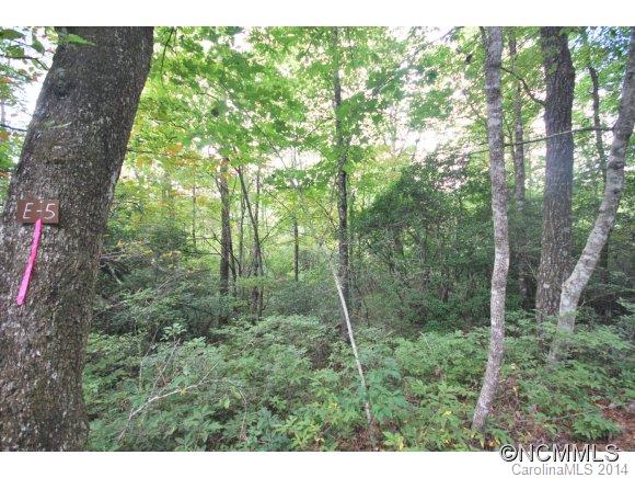 Property image 2 at Lot 8 Galax Lane, Brevard, NC 28712