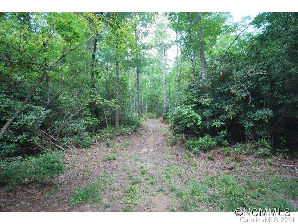 Property image 5 at Lot 8 Galax Lane, Brevard, NC 28712