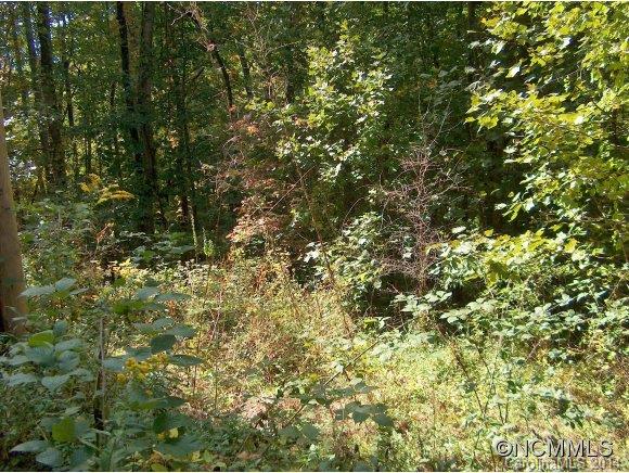 Property image 2 at Lot 173 Wills Way, Canton, NC 28716