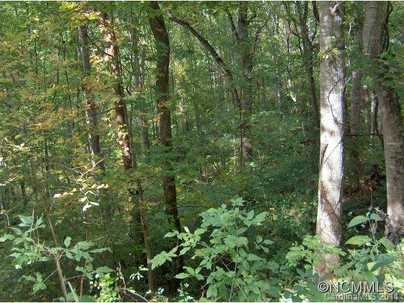 Property image 3 at Lot 173 Wills Way, Canton, NC 28716