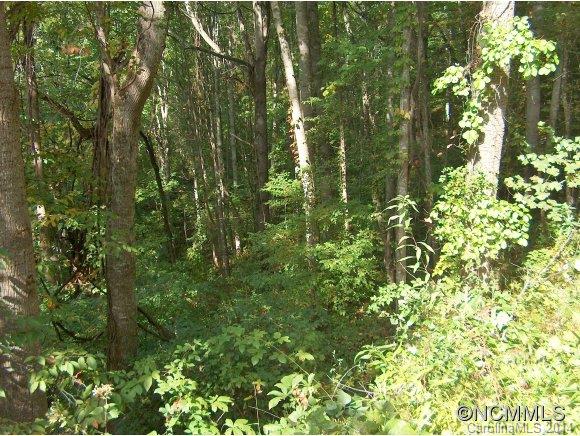 Property image 4 at Lot 173 Wills Way, Canton, NC 28716