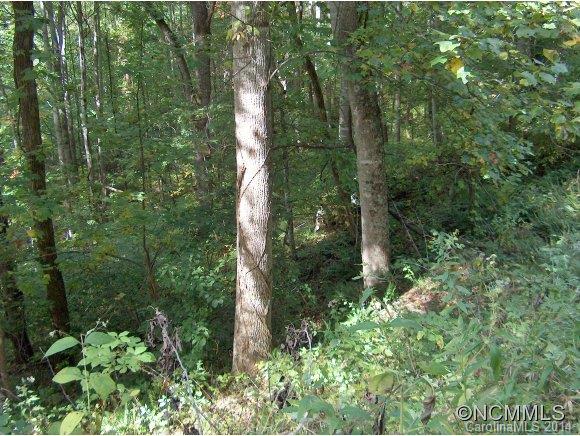 Property image 2 at Lot 174 Wills Way, Canton, NC 28716