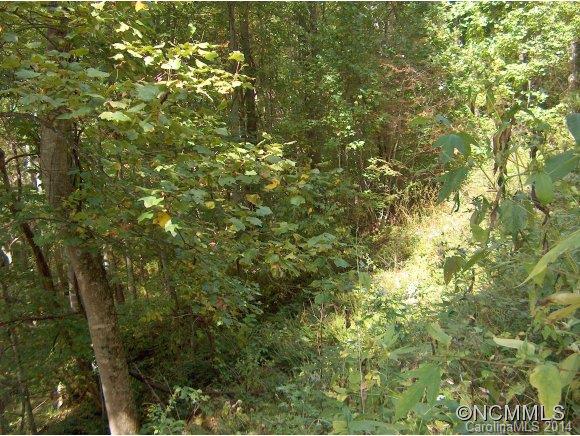Property image 3 at Lot 174 Wills Way, Canton, NC 28716