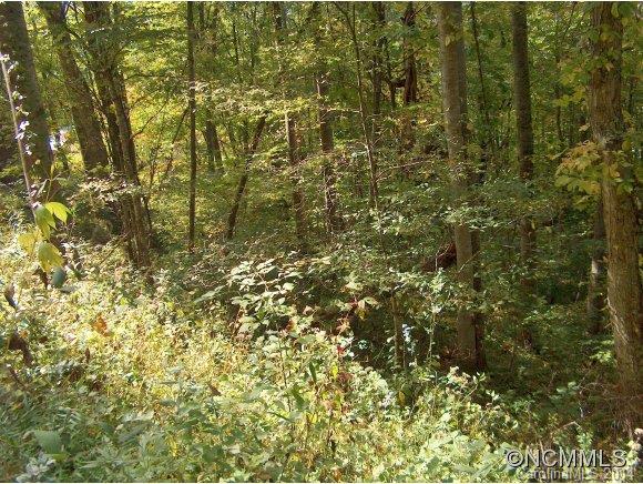 Property image 4 at Lot 174 Wills Way, Canton, NC 28716