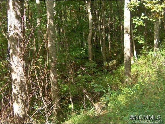 Property image 2 at Lot 175 Wills Way, Canton, NC 28716