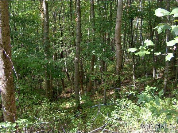 Property image 3 at Lot 175 Wills Way, Canton, NC 28716