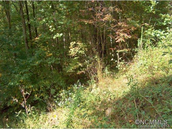 Property image 4 at Lot 175 Wills Way, Canton, NC 28716