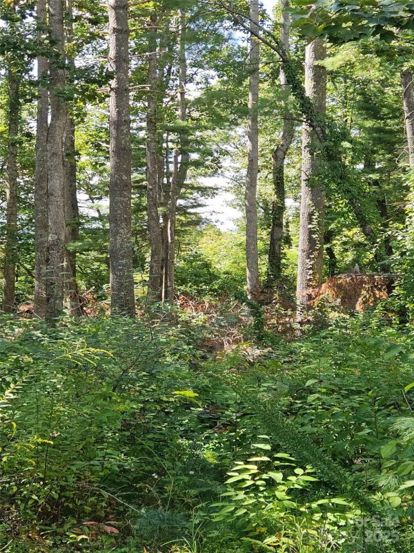 Property image 2 of 00 Bearwallow Mountain Drive in Grand Highlands at Bearwallow, Hendersonville, NC 28792