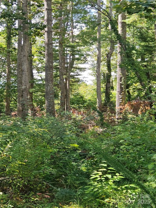 Property image 3 of 00 Bearwallow Mountain Drive in Grand Highlands at Bearwallow, Hendersonville, NC 28792