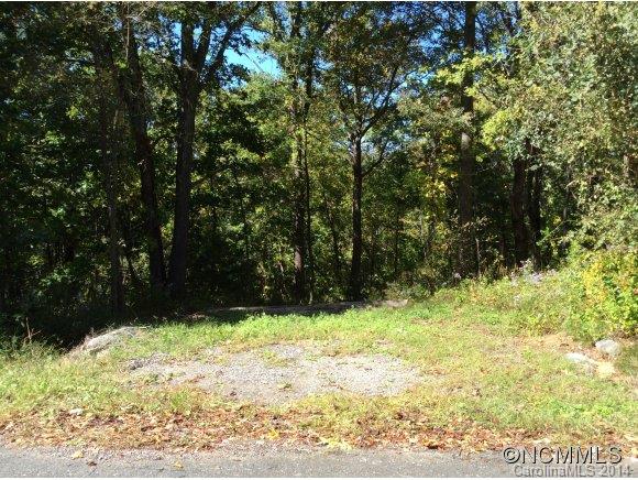 Property image 3 at 9999 Mt Olive Church Rd, Asheville, NC 28804