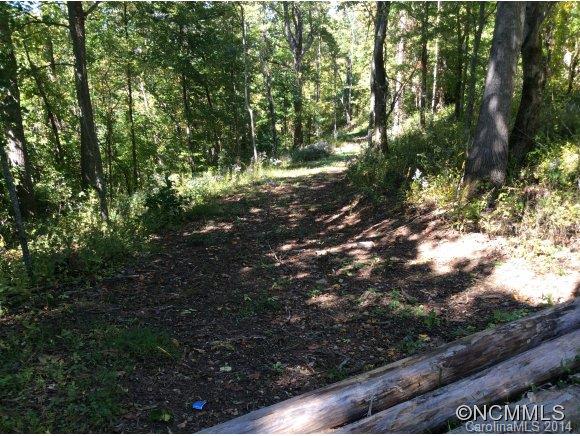 Property image 4 at 9999 Mt Olive Church Rd, Asheville, NC 28804