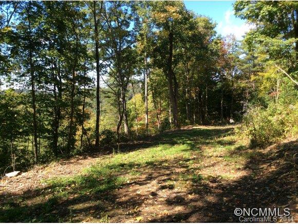 Property image 5 at 9999 Mt Olive Church Rd, Asheville, NC 28804