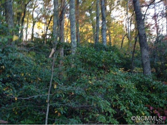 Property image 4 at 9999 Clovercrest Drive, Hendersonville, NC 28792